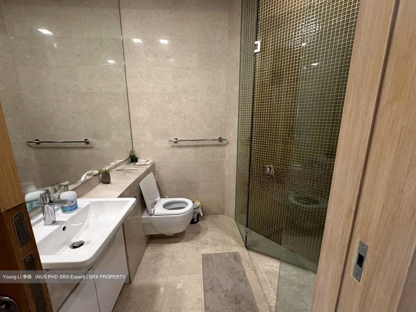 Belle Vue Residences (D9), Condominium #560869731